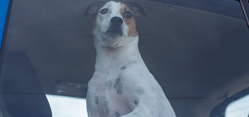 Car Lockout Solutions in Danville, California